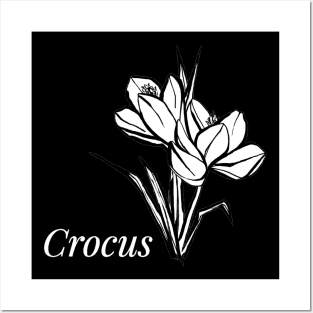 Crocus flowers Posters and Art